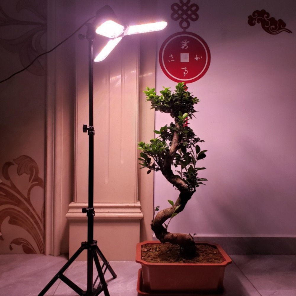 Statif Lampu 2M, Soket AC E27  - Photography Lighting With Umbrella ulasan dan harga