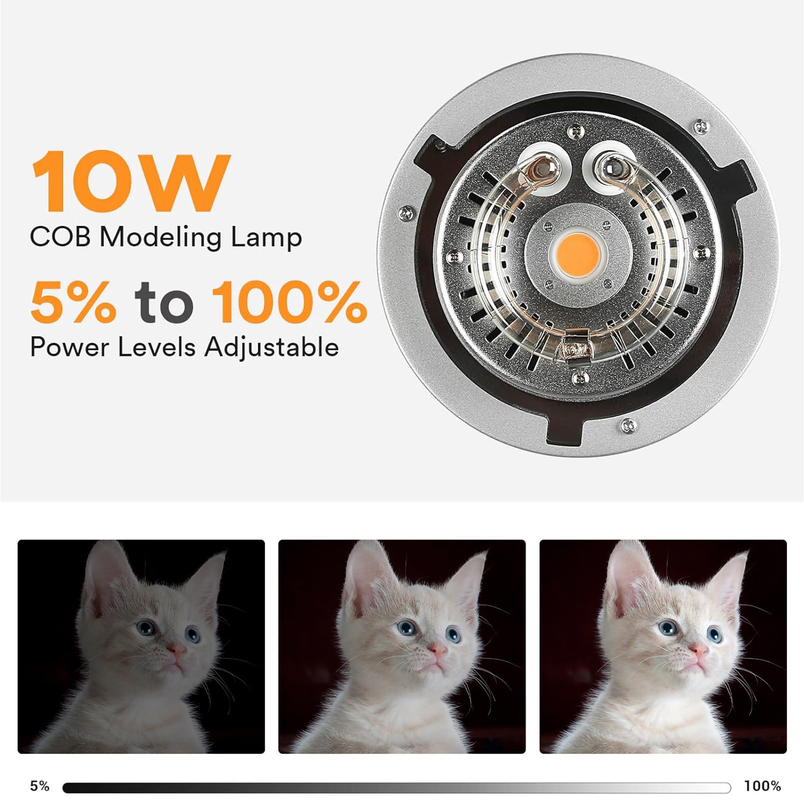 Godox MS200V Studio Strobe Fla - Photography Lighting For Portraits ulasan dan harga